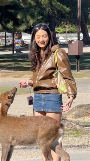 奈良公園で鹿と心が通じた瞬間！外国人観光客と鹿の可愛すぎる交流 #narapark #japan