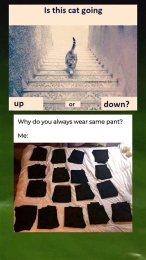 up or down batao 👉🏻 #memes #trending #funny #viral #meow #cat #shorts #ytshorts #memehub
