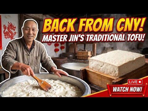 💈 JIN'S Family Big TOFU 👨🏻‍👩🏻‍👦🏻 at Qiaonan Morning Market 🔴LIVE! ✂️