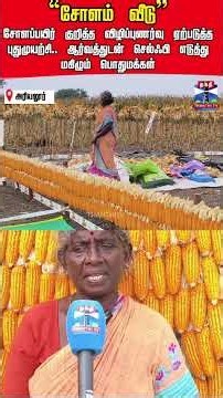 cornplant | agriculture | ariyalur