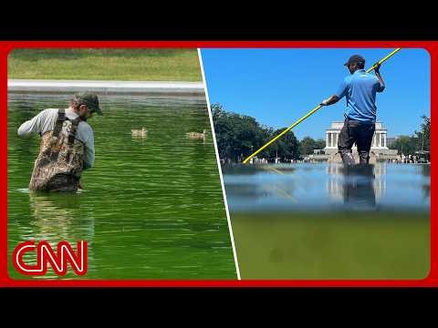 Trump's $14M reflecting pool is turning green