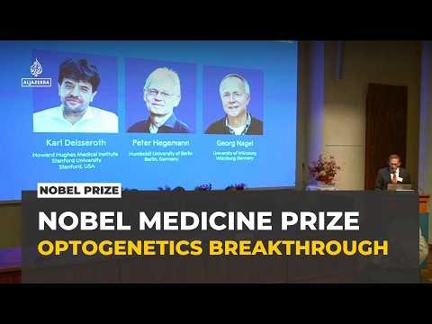 Nobel medicine prize honours three scientists for breakthrough in optogenetics