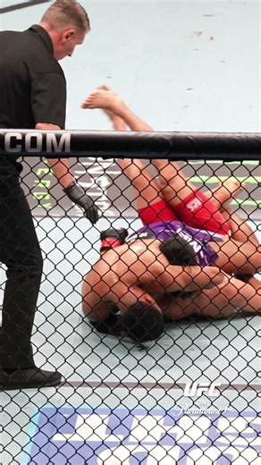Don't Be Silly, Jump The Guilly #ufcshanghai