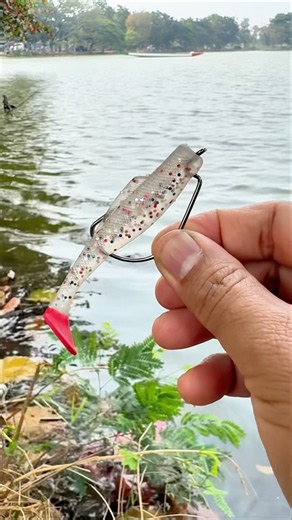 Learn These Fishing Basics to Increase Your Chances of Catching Fish👍👍 #fishing #bassfishing