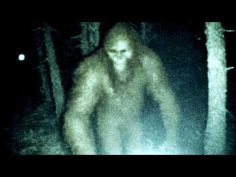 Could Bigfoot Actually Be REAL?