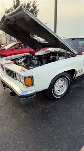 Rare 1977 Pontiac Can Am! A One-Year-Only Legend! #pontiac