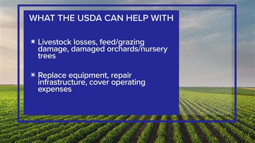 USDA offering aid for farmers affected by western Washington flooding