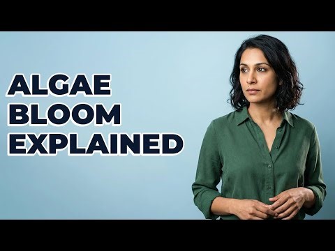 How Does Nutrient Loading Lead to Eutrophication?