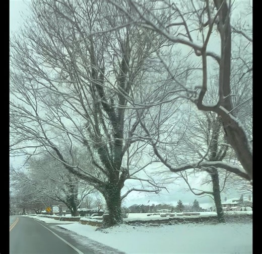 A drive on Route 6A in Brewster, Massachusetts - Cape Cod - Winter | Cape Cod, Massachusetts