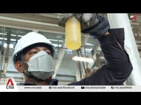 Malaysia pushes for higher biodiesel use amid rising oil prices