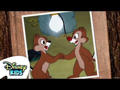 Meet Chip 'N' Dale 🐿️🐿️🍿 | @disneykids