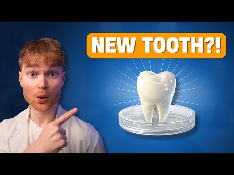 Scientists Just Grew a Human Tooth in a Lab