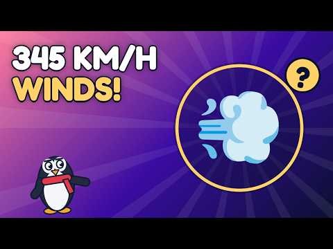 Hurricanes Explained: From Warm Sea to Monster Storm