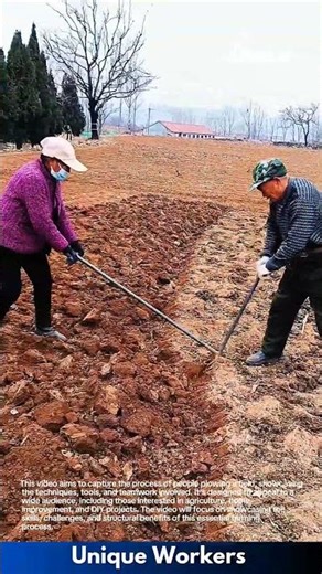 Traditional Farming Work: Elderly Man Preparing Soil with Hand Tools