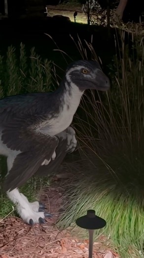 Dromaeosaur Sighting! 🦖 #shorts #short #nature #dinosaurs #dinosaur #wildlife #science #ai #aivideo