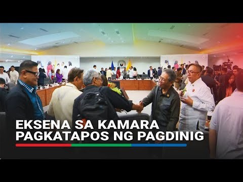 MOMENT: Cheers as House panel suspends hearing after finding probable cause to impeach VP Sara