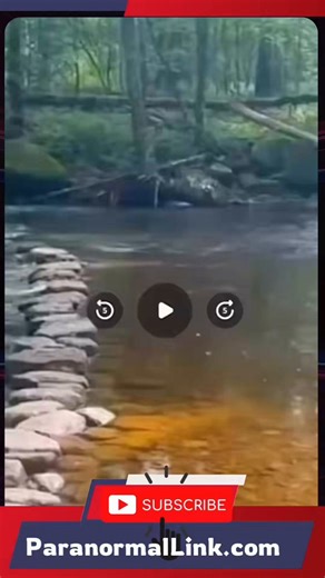 This video is going viral right now… and people are asking one question: are mermaids actually real?Footage captured in South America shows something rising from beneath the water’s surface. At first, it’s easy to miss… but then it moves. The moment it seems to realize it’s being watched, it dives straight back down.But here’s what has everyone talking… the shadow it casts across the water, and the ripples it leaves behind. That wasn’t small. That wasn’t normal.So what did they capture? A trick 