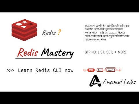 Redis Data Types Explained with CLI | Strings, Lists, Sets, ZSET, GEO, Pub/Sub | redis | anamulLabs