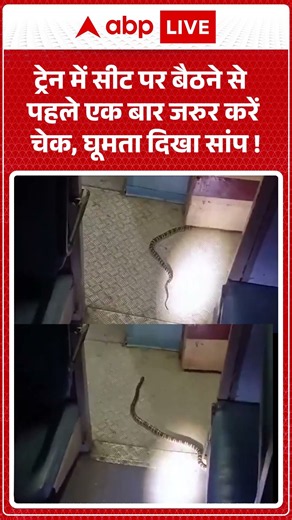 Viral Video : ट्रेन में सीट पर बैठने से पहले एक बार जरुर करें चेक,घूमता दिखा सांप ! #indianrailways