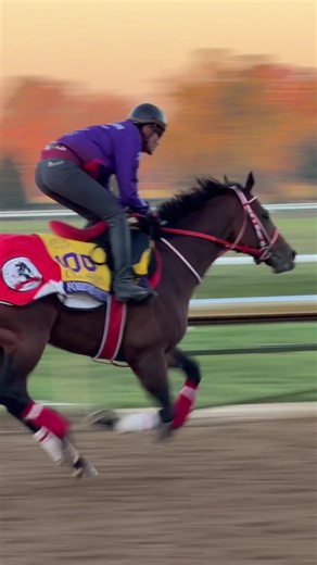Keeneland Thoroughbred Racing: Day in the Life at Kentucky Horse Track