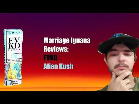 FVKD Alien Kush Disposable Review