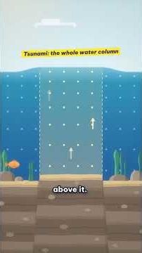 A Tsunami Passed Under Their Boats – Why Did No One Feel It? #shorts