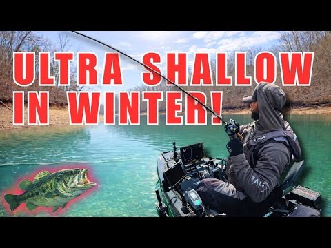 Can You Still Catch Bass ULTRA Shallow in Winter? 