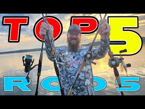 Top 5 Fishing Rods Every Anglers Should Have (Beginner To Advanced)