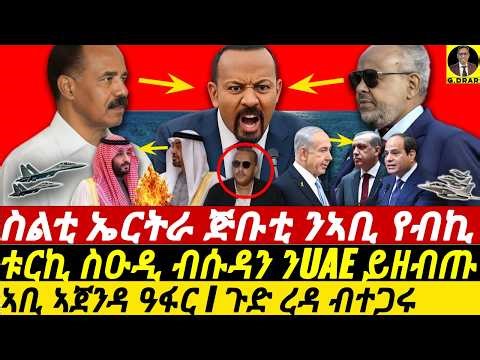 Jan-02 ስልቲ ኤርትራ ጅቡቲ ንኣቢ የብኪ I ኣቢ ኣጀንዳ ዓፋር I ጉድ ረዳ ብተጋሩ I ቱርኪ ስዑዲ ብሱዳን ንUAE ይዘብጡ I Saudi in Yemen