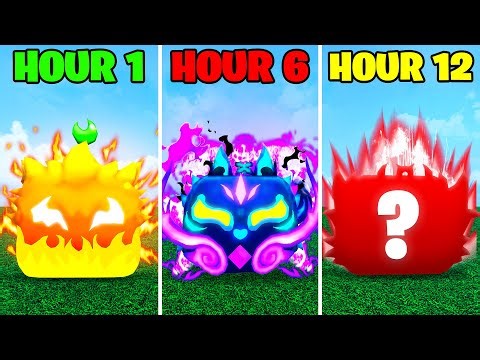 Noob to Pro in Blox Fruits, But I Get a New Fruit Every Hour