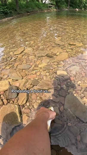 The Best Fishing: Trout vs. Bass Releasing Techniques