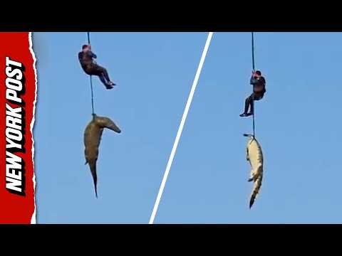 Shocking Moment Crocodile with Human Body in BELLY is Airlifted