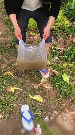 Easy & Water-Saving Foot Washing Tips