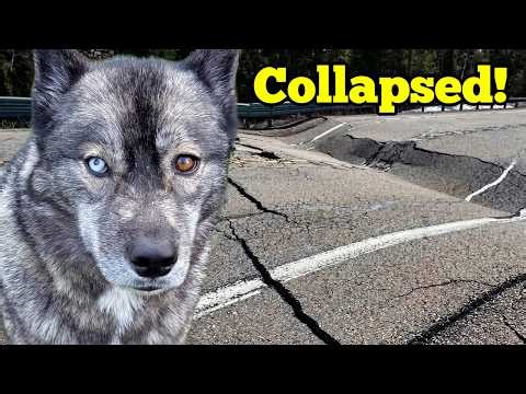 THE ROAD COLLAPSED! 😱 We are SAFE With the Dogs