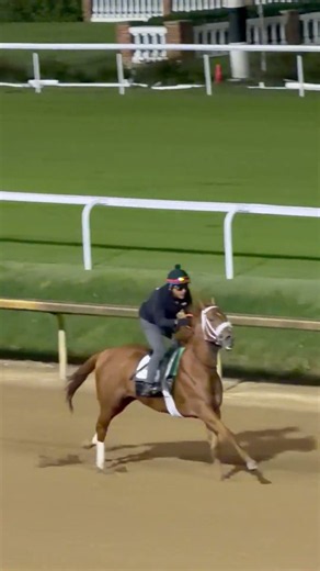Winning Matters gallop 10-24 Churchill Downs #horses #horseracing