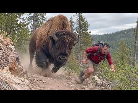 Damn Nature You Scary | Rare and Scary Animal Encounters