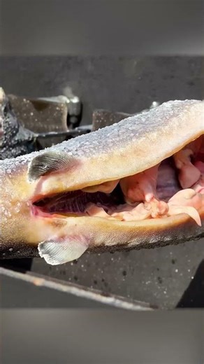 Grilled Fish Sandwich: A Delicious Tabletop Creation