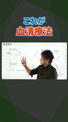 #shortstudy 生物 【 血清ってどうやって作る？】#理科 #生物 #共通テスト