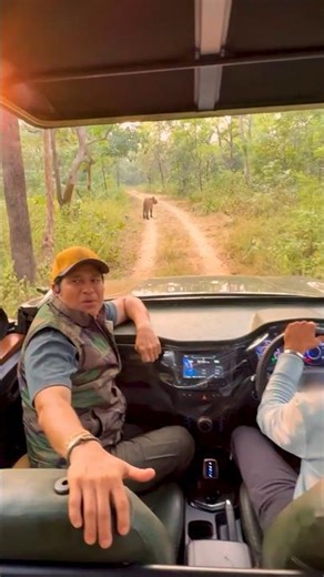 Sachin Tendulkar in Tadoba | Tigers of India | 2025
