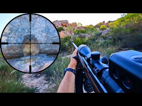 EPIC Rock Hyrax (Dassie) Hunt | 22LR Precision!