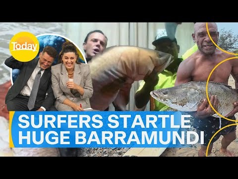 Two surfers crack up Karl and Sarah after wrangling giant barramundi | Today Show Australia