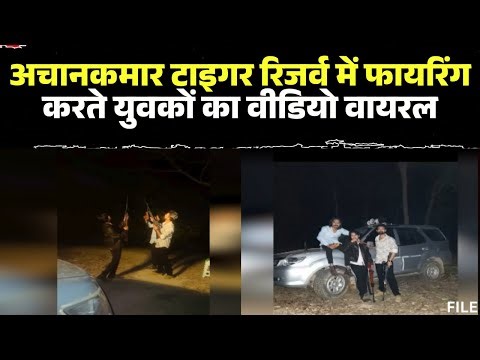Achanakmar Tiger Reserve में हथियार लेकर घुसे युवक। फायरिंग का रील बनाकर किया Viral। Lormi News