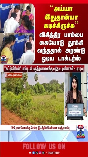 dindugal | snake | hospital | thanthitv