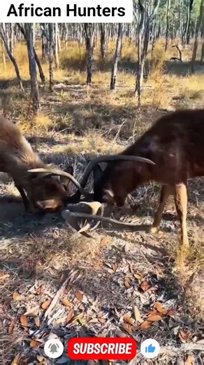 One Fight… One Sudden Shot! 😱🏹🎯#shortsfeed