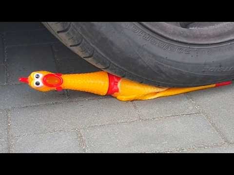 Crushing Crunchy & Soft Things by Car! EXPERIMENT CAR VS + The dog's reaction