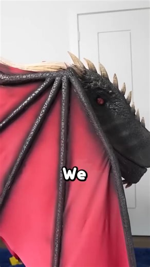 Training a Dragon for 24 Hours