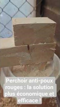 Ma solution ultime 💥, facile et économique, pour ton perchoir à poules 🐓 anti-poux rouges ☠️