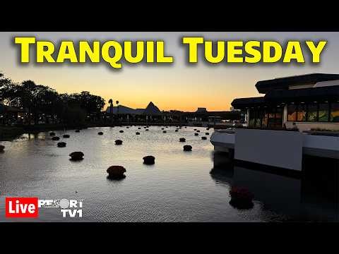 🔴Live: Tranquil Tuesday at Epcot - 4-28-26 - Walt Disney World Live Stream