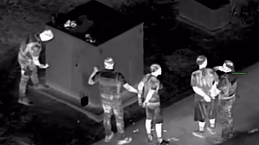 Man arrested after police helicopter spots suspicious activity, loaded gun seized