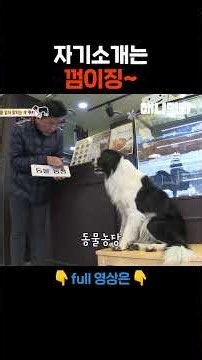 내 이름 정도는 안다개~ #애니멀봐 #shorts
